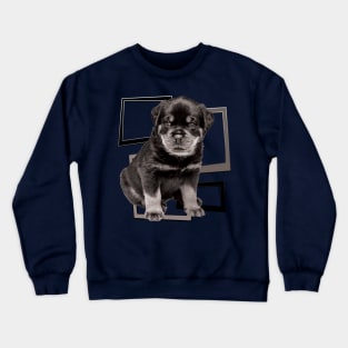 Rottweiler the boss dog Crewneck Sweatshirt